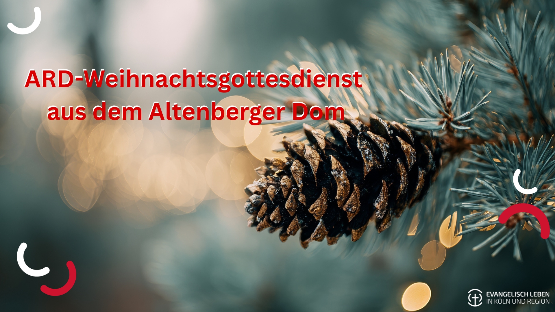 Du betrachtest gerade ARD-Weihnachtsgottesdienst kommt aus Altenberg – mit Pfarrerin Claudia Posche