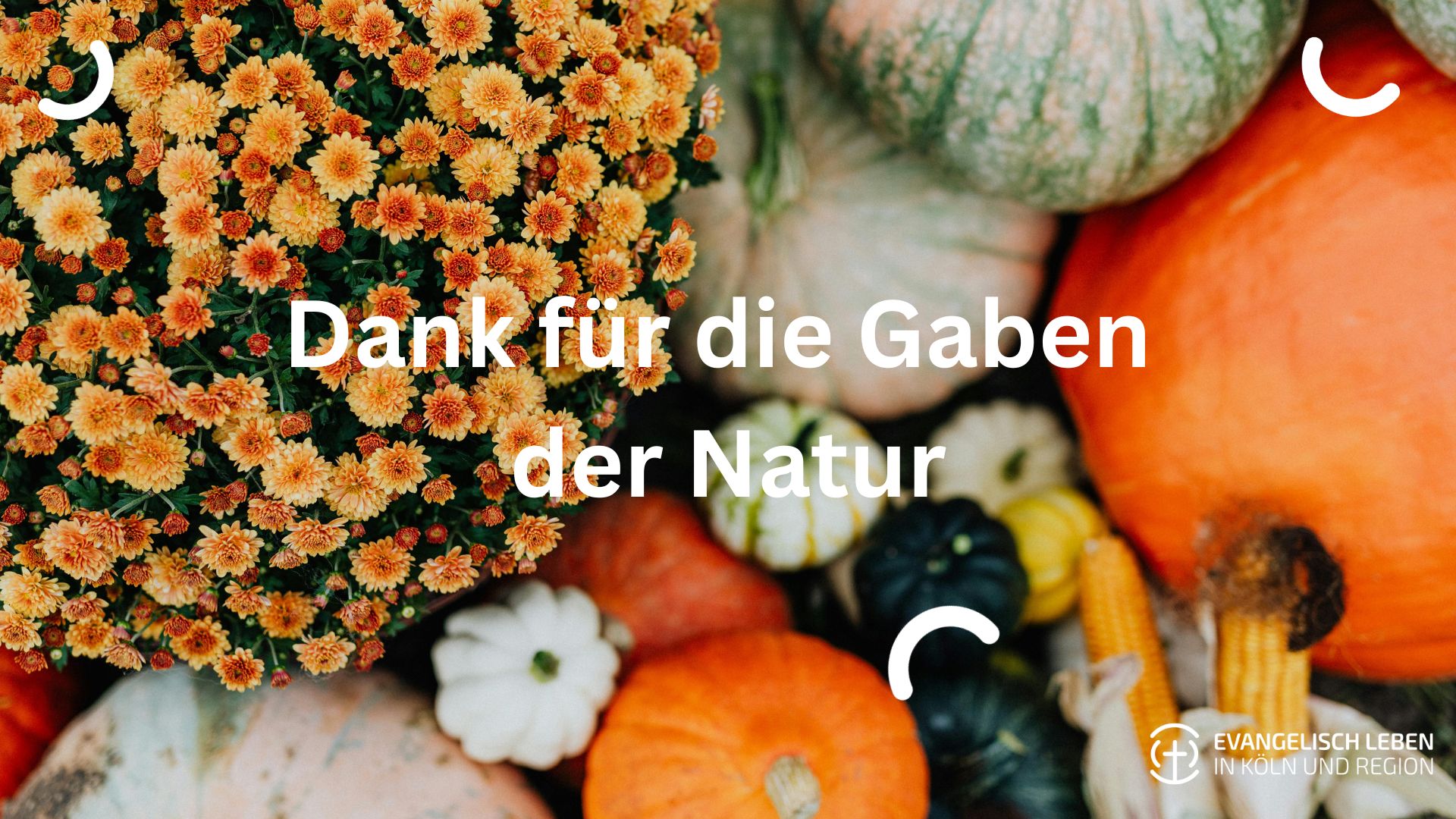 Du betrachtest gerade Erntedankfest 2026: Dankbar feiern, teilen und Gemeinschaft erleben